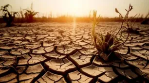 De la Barra sobre la COP 30: “Esto no es un compromiso ambiental, es una jugada electoral”