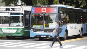 Crisis del transporte en Córdoba: DOTA se ofrece a operar tres corredores con 270 colectivos