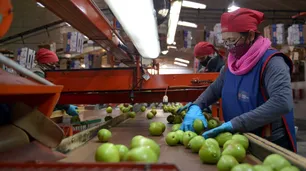 Aumentos de costos en dólares generan crisis en economías regionales