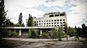 Científicos estudian respuestas anticancerígenas desarrolladas por los lobos de la zona de Chernobyl