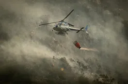 Alerta amarilla por incendios en el Uritorico: Hay familias evacuadas