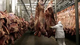 Las exportaciones de carne repuntaron en septiembre