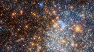 El telescopio espacial Webb de la NASA respaldó el principal descubrimiento de su antecesor, el Hubble