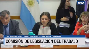 Diputados evalúan una reparación histórica para trabajadores de empresas privatizadas en los años 90