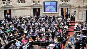 Diputados: Menem terminó la sesión de manera abrupta y hubo diputados que se fueron a las piñas