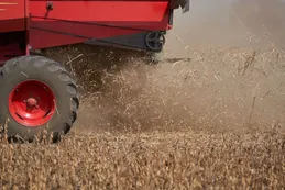 Los efectos de La Niña causan estragos de nuevo al campo argentino