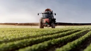 Agro: cuál es el panorama de cara a la liquidación de granos