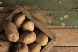 Las insólitas tradiciones del mundo para recibir al Año Nuevo: desde lanzar zapatos hasta papas bajo el colchón