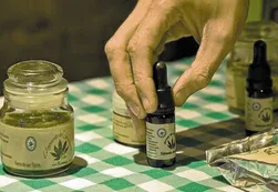 El Gobierno promulgó la ley que habilita el uso medicinal del cannabis