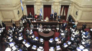 El Senado aprobó una nueva Ley de Vacunas: serán gratuitas y obligatorias