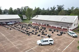 Decomiso millonario en Corrientes: Gendarmería incautó 489 neumáticos y 18 mil paquetes de cigarrillos