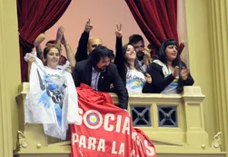 El kirchnerismo impone su mayoría en Diputados para la Ley de Pago Soberano