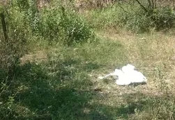 Hallan cadáver de joven salteña desaparecida