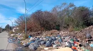 Ratas, agujas y escombros: así es vivir al lado de uno de los basurales ilegales de Córdoba
