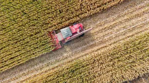 Fertilizantes caros y conflictos globales: el desafío que enfrenta el campo argentino
