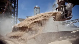 Una cerealera pagó una multa ínfima tras ser condenada por no liquidar una suma millonaria