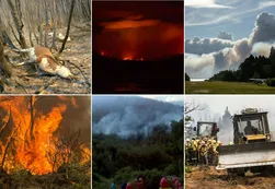 Chubut: piden más controles para vender tierras tras el incendio