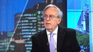 Juan Luis Bour: “Si hay una recuperación económica rápida, se necesitarán pesos y eso anticipa la salida del cepo"