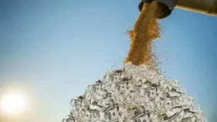 Un informe estima que el sector agropecuario representa el 22% de la actividad económica argentina