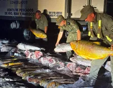 Tensión en Corrientes: se atrincheraron en un camión con más de 700 kilos de pescado protegido
