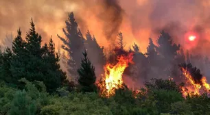 Las fotos más impactantes de los incendios forestales en Lago Puelo y Epuyén