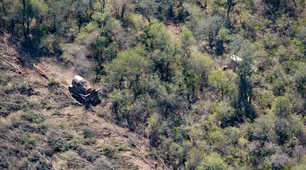 Greenpeace denuncia que el gobernador de Salta dio vía libre a los desmontes en la pandemia