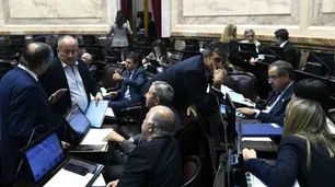 Tras la denuncia a Alperovich, piden que el Senado aplique el protocolo de violencia de género
