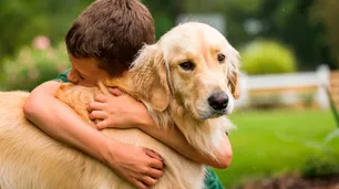 El nuevo mindfulness tiene cuatro patas: 78% dice que su perro lo obliga a frenar y reconectar