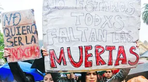 Entre 2008 y 2020, policías o ex policías cometieron un femicidio cada 22 días