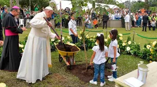 El legado ambientalista del papa Francisco: del "pecado ecológico" a su "encíclica verde" por el cuidado de la naturaleza