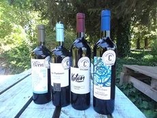 Presentan el primer vino de corte certificado cordobés