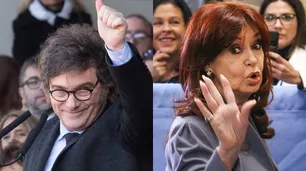 Encuesta: entre un gobierno libertario y uno peronista, ¿A quién le confiarían los argentinos sus ahorros?