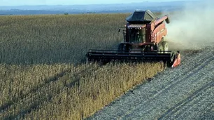 Tras la sequía, se espera una buena campaña mientras crece la preponderancia de "El niño"