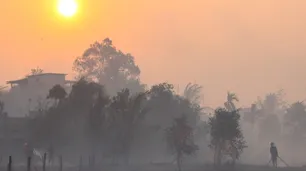 Los incendios en Indonesia avanzan sin control: destruyen miles de hectáreas y afectan a varias ciudades
