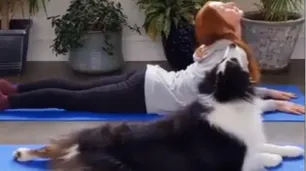 El tierno video viral de un perro practicando yoga con su dueña
