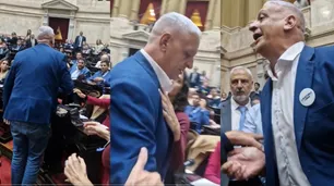 Momento tenso en Diputados: el enojo de Pietragalla y la reacción de Lilia Lemoine