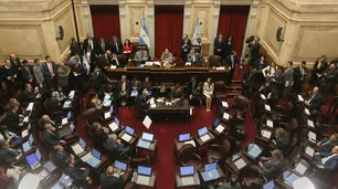 Quiénes fueron los senadores que más dinero recibieron a cambio de pasajes