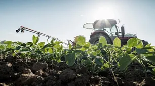 Para un experto el aumento del precio de la soja puede desalentar la inflación en Argentina