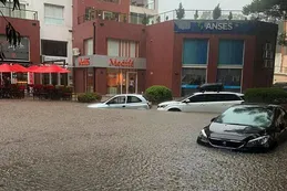 Desesperado pedido del intendente de Pinamar: "No salgan de sus casas"