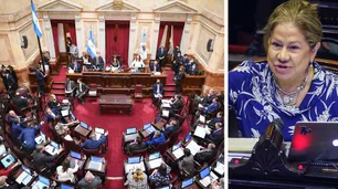 El oficialismo no tiene los votos en Diputados y se traba la reforma