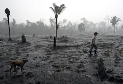 Más de 510.000 muertes por desastres naturales en 50 años en América Latina