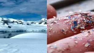 Universidad Nacional de La Plata: científicos detectaron microplásticos en la atmósfera de la Antártida