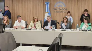 El Congreso trabaja en un plan nacional para prevenir el suicidio en niñas, niños y adolescentes