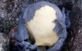Macabro hallazgo: encuentran un cráneo humano en la playa