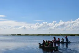 Esteros del Iberá, el magnífico humedal que invita a conectar con la naturaleza