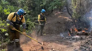 Incendios forestales fuera de control en Chubut: el fuego rodea localidades y crece el reclamo de “ayuda extra ya”