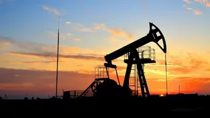 "Los hidrocarburos, especialmente el gas, siguen siendo fundamentales para la matriz energética argentina"