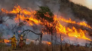 90 muertos y 300.000 evacuados por incendios forestales a nivel global en 2025