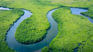 Petrobras recibe autorización para explotar petróleo cerca de la desembocadura del Amazonas