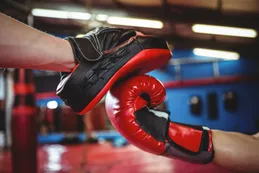 RING KONG: el boom del e-commerce deportivo que revoluciona el equipamiento de artes marciales
